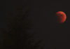 Red Moon in Sofia