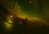 Nebulosa Testa di Cavallo