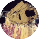 biotite_and_muscovite