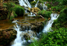 waterfalls-forest-landscape