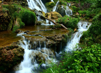 waterfalls-forest-landscape