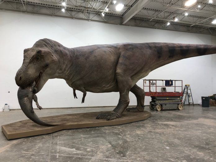 Modello del tirannosauro 